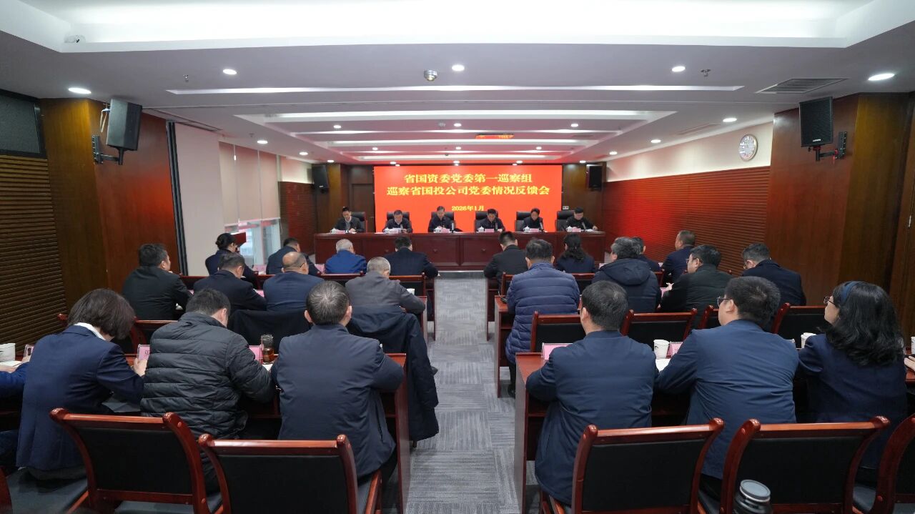 省国资委党委第一巡察组向红果体育公司党委反馈巡察情况